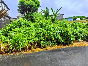 Residential Land