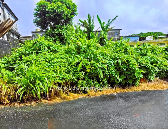 Residential Land For Sale In Forest Side