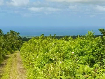 Agricultural Land