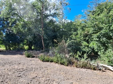 Residential Land