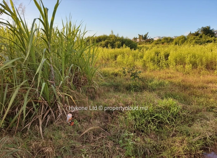 Agricultural Land For Sale In Quartier Militaire