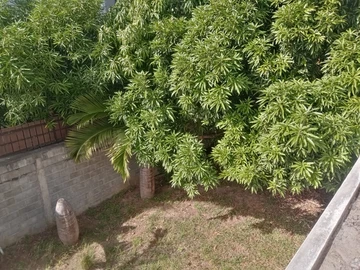 7 Bedroom House