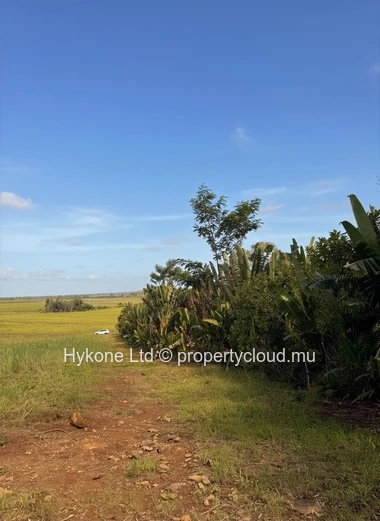 Agricultural Land For Sale In Riche En Eau
