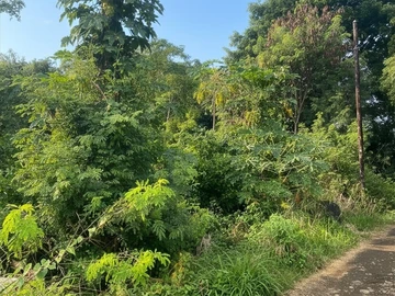 Residential Land
