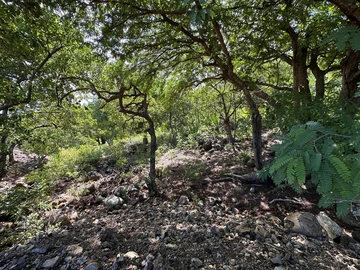Residential Land