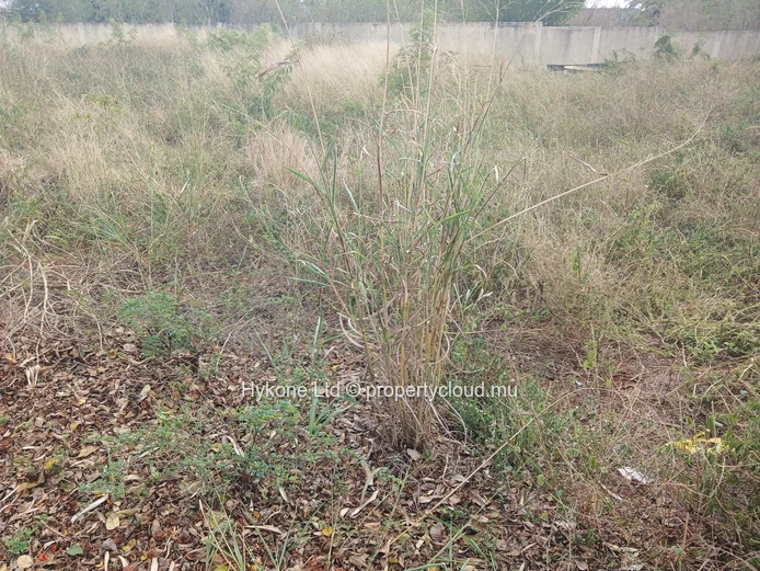 Residential Land For Sale In Pointe Aux Piments
