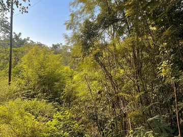Residential Land