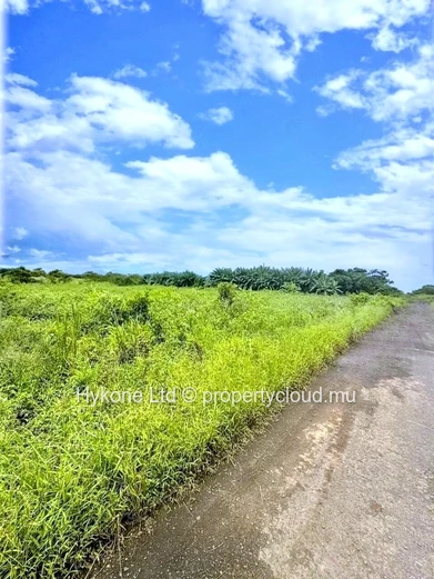 Agricultural Land For Sale In Beau Climat