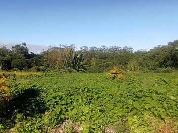 Agricultural Land