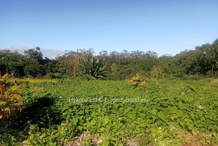Agricultural Land For Sale In Malenga, Moka
