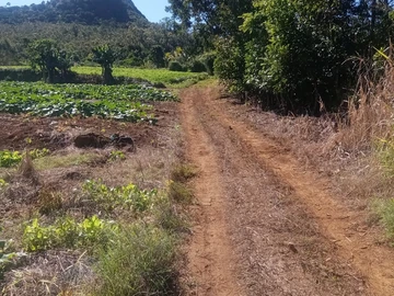 Agricultural Land