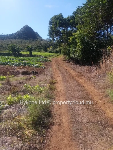Agricultural Land For Sale In Malenga, Moka