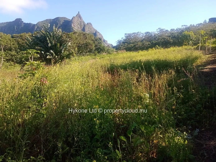 Agricultural Land For Sale In Malenga, Moka