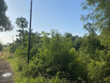 Residential Land