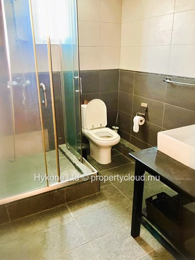 Penthouse For Rent In Flic En Flac