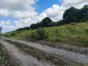 Residential Land
