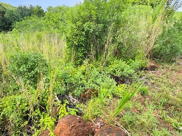 Residential Land
