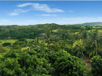 Residential Land