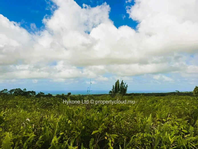 Agricultural Land For Sale In Bois Cheri