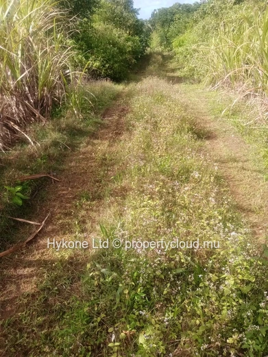 Agricultural Land For Sale In Beau Climat