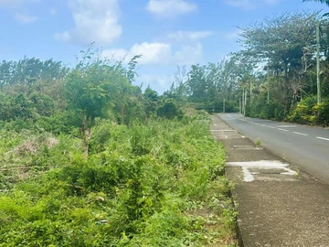 Residential Land