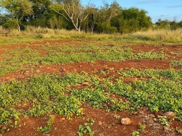 Residential Land