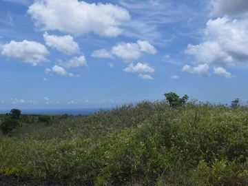 Agricultural Land
