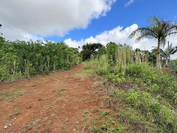 Residential Land