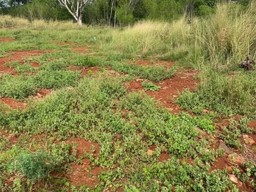 Residential Land