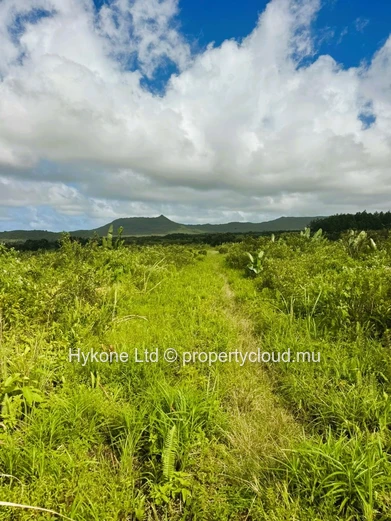 Agricultural Land For Sale In Bois Cheri