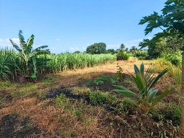 Residential Land