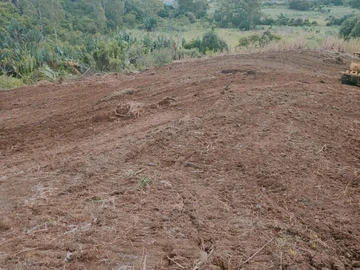 Agricultural Land