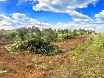 Agricultural Land