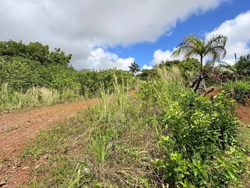 Residential Land