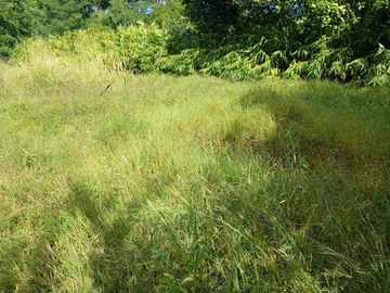 Residential Land