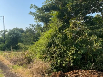Residential Land