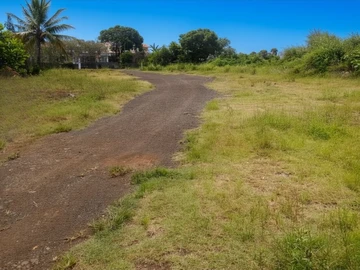 Commercial Land