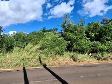 Residential Land