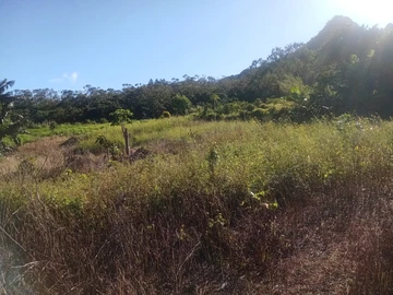 Agricultural Land