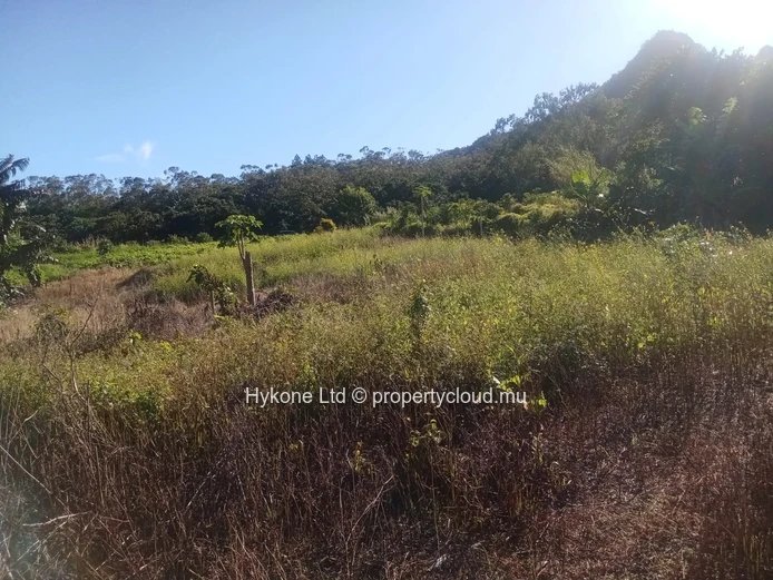 Agricultural Land For Sale In Malenga, Moka