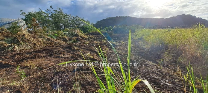 Agricultural Land For Sale In Cluny