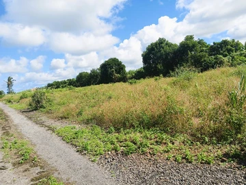 Residential Land