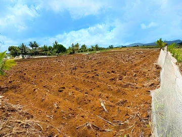 Residential Land