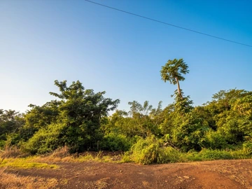 Residential Land