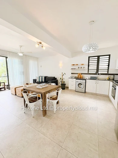 Beachfront Apartment For Rent In Pointe D'esny