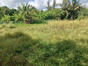 Residential Land