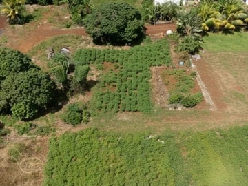 Residential Land