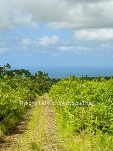 Agricultural Land For Sale In Bois Cheri