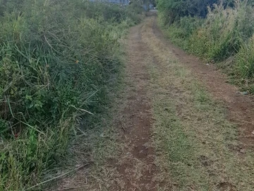 Residential Land