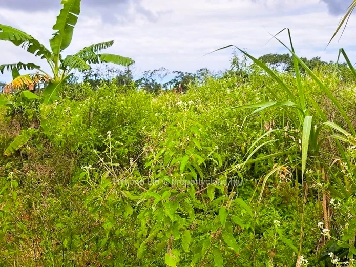 Agricultural Land For Sale In La Flora